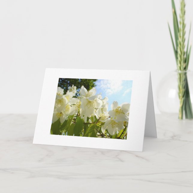 Tarjeta de nota de flores Jasmine (Anverso)