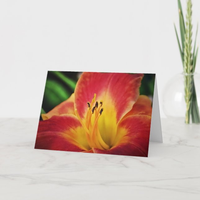 Tarjeta de nota de flores Red Gold Lily (Anverso)