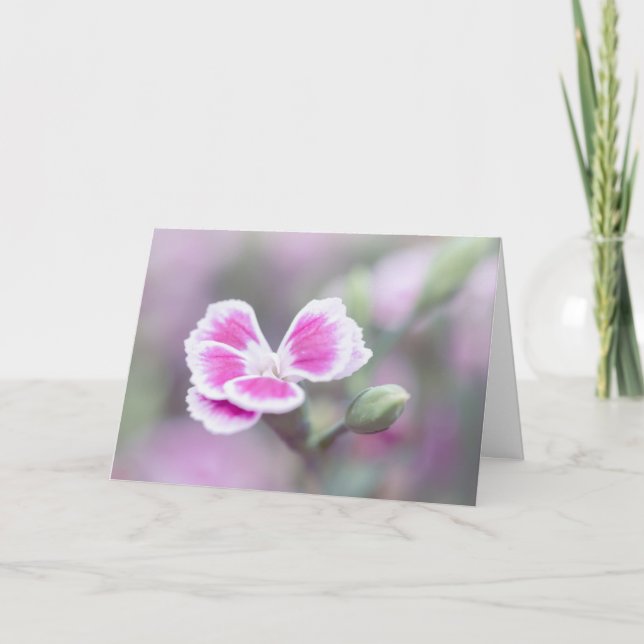 Tarjeta de nota de flores rosa Dianthus (Anverso)