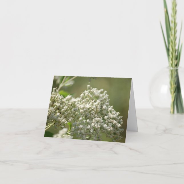 Tarjeta de nota de flores silvestres blancas de be (Anverso)