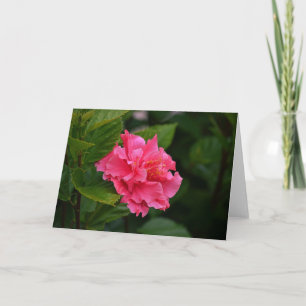Tarjeta de nota de flores tropicales rosa hibiscus