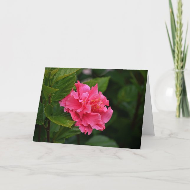 Tarjeta de nota de flores tropicales rosa hibiscus (Anverso)