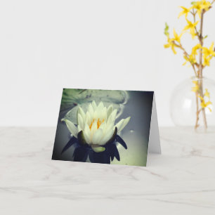 Tarjeta de nota de flores Water Lily Lotus