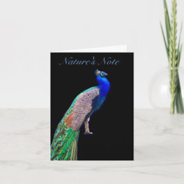 TARJETA DE NOTA DE FOTO DE PEACOCK RESTING