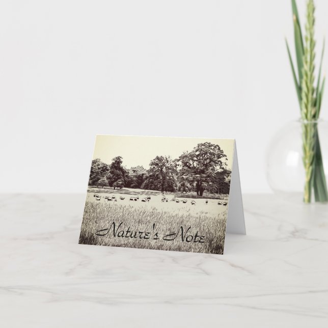 TARJETA DE NOTA DE FOTO GRASS TALL PASTURE SHEEP (Anverso)