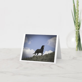 Tarjeta de nota de fotografía de caballos salvajes