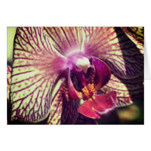 Tarjeta de nota de fotografía de cerca de flor de