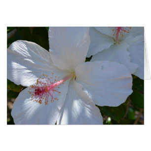 Tarjeta de nota de fragancia floral