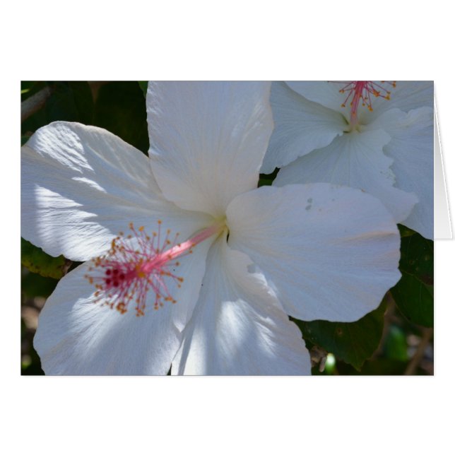 Tarjeta de nota de fragancia floral (Anverso (Horizontal))