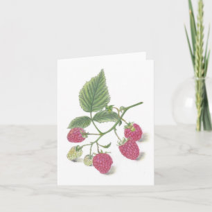 Tarjeta de nota de frambuesas