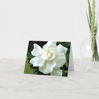 Tarjeta de nota de Gardenia