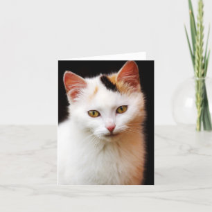 Tarjeta de nota de gatito blanco