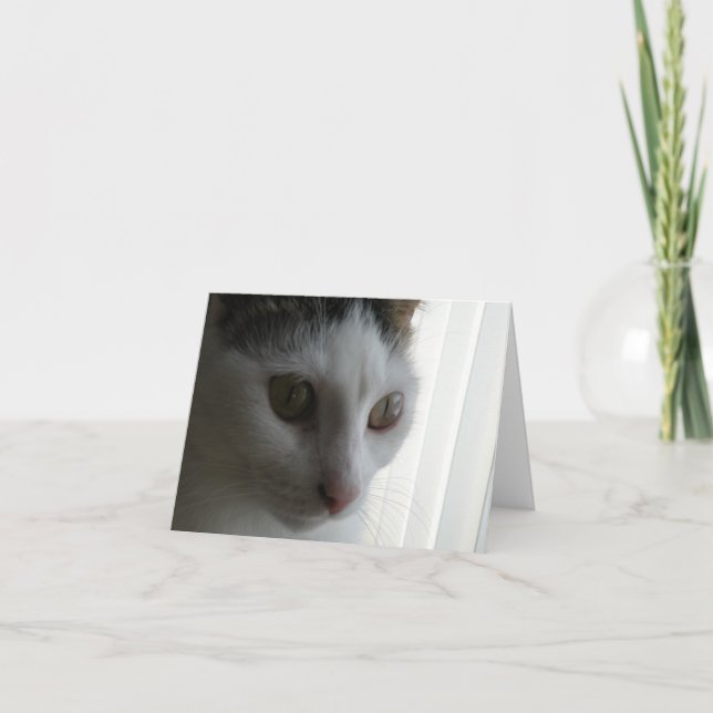 Tarjeta de nota de gato (Anverso)