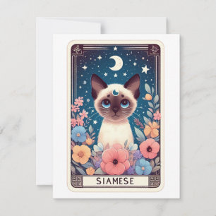 Tarjeta de nota de gato de corte