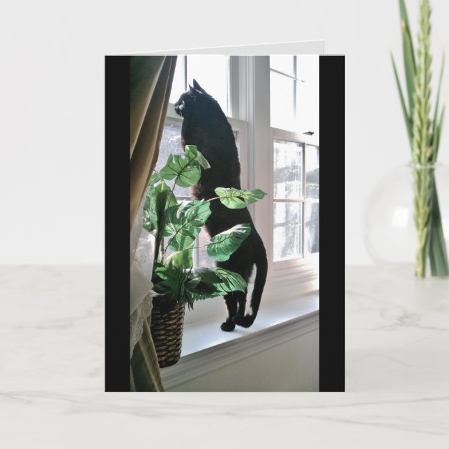 Tarjeta de nota de gato en la ventana (Anverso)