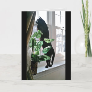 Tarjeta de nota de gato en la ventana