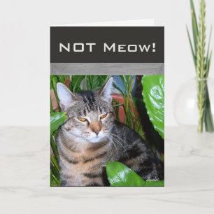 Tarjeta de nota de gato "Expresión divertida 'No m