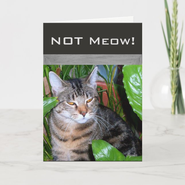 Tarjeta de nota de gato "Expresión divertida 'No m (Anverso)