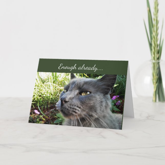 Tarjeta de nota de gato gruñón con expresión diver (Anverso)