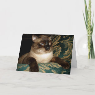 Tarjeta de nota de gato siamés con cara de malhumo