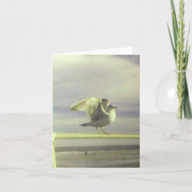 Tarjeta de nota de gaviota (Anverso)