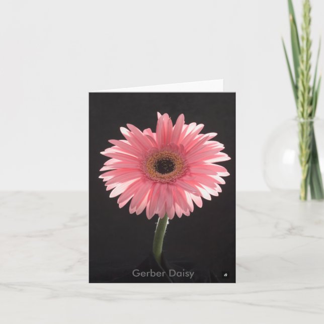 Tarjeta de nota de Gerber Daisy (Anverso)