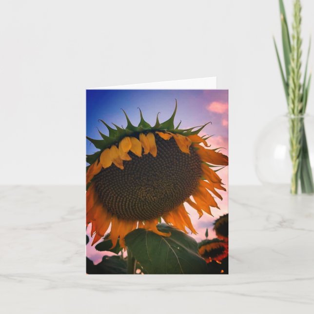 Tarjeta de nota de girasol (Anverso)