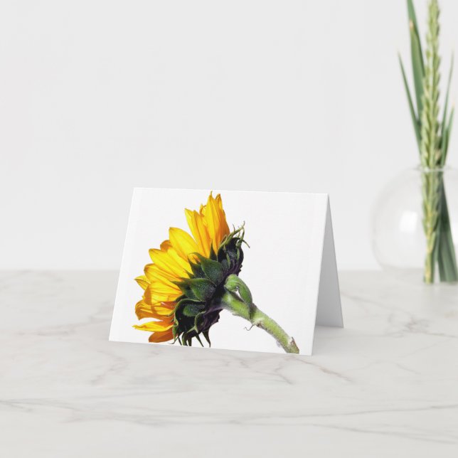 Tarjeta de nota de girasol (Anverso)