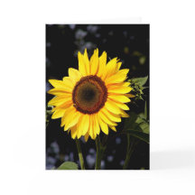 Tarjeta de nota de girasol