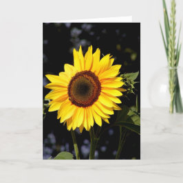 Tarjeta de nota de girasol