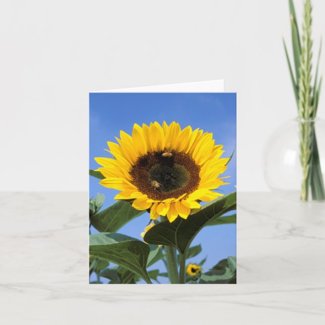 Tarjeta de nota de girasol (Anverso)