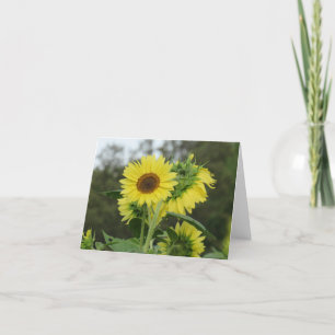Tarjeta de nota de girasol amarillo brillante