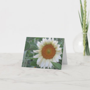 Tarjeta de nota de girasol blanco llamativo