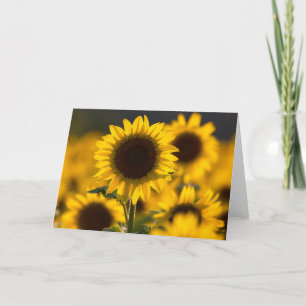 Tarjeta de nota de girasol con iluminación trasera