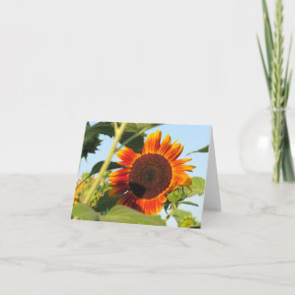 Tarjeta de nota de girasol de brillo