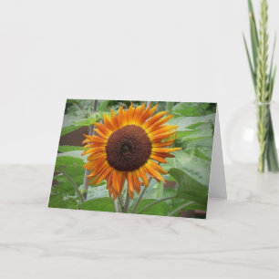 Tarjeta de nota de girasol dorado