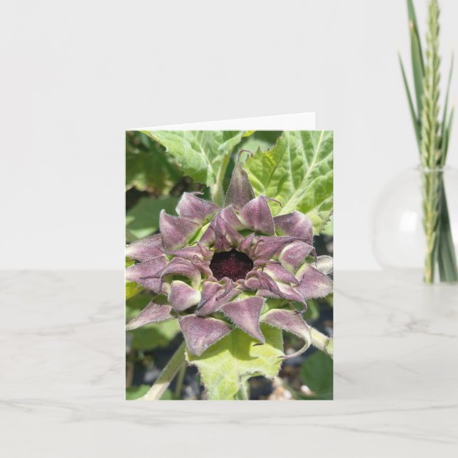 Tarjeta de nota de girasol púrpura única (Anverso)