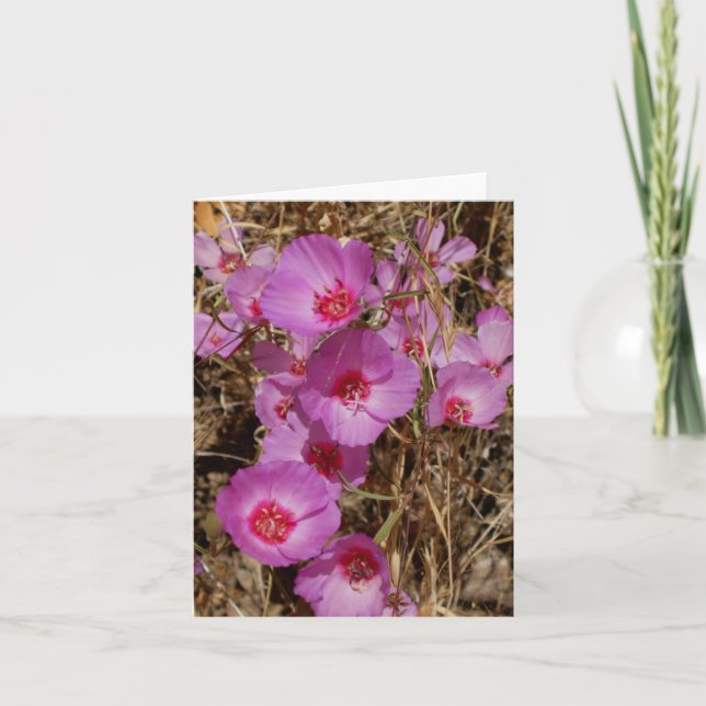 Tarjeta de nota de Godetia (Anverso)