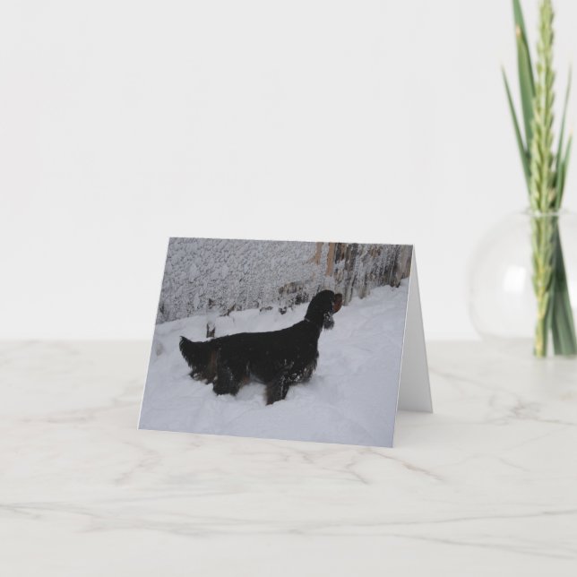 Tarjeta de nota de Gordon Setter (Anverso)