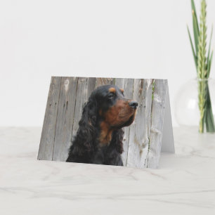 Tarjeta de nota de Gordon Setter