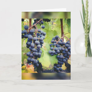Tarjeta de nota de Grapevine<Blank Inside>