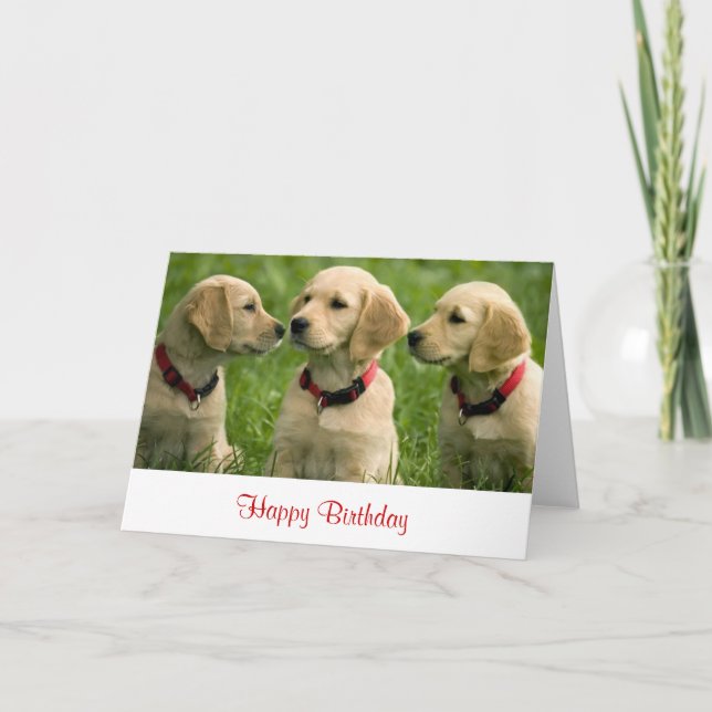 Tarjeta de nota de Happy Birday Golden Retriever P (Anverso)
