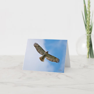 Tarjeta de nota de Hawk en alza