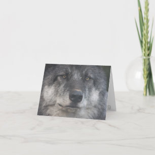 Tarjeta de nota de Himtuuqin