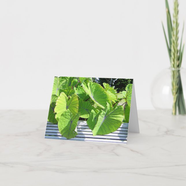 Tarjeta de nota de hojas botánicas (Anverso)