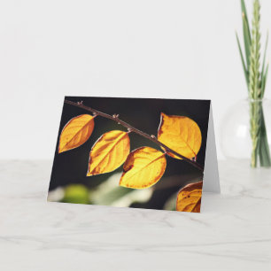 Tarjeta de nota de hojas de otoño amarillas