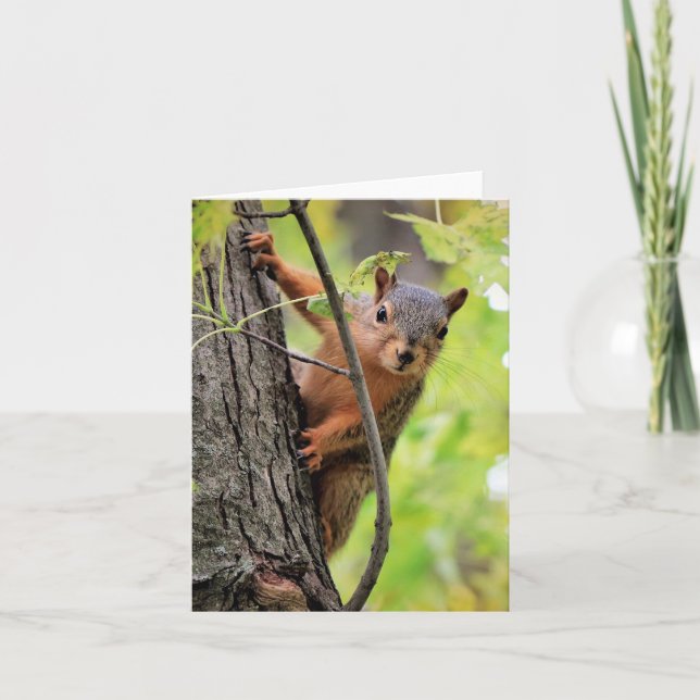 Tarjeta de nota de Hola (Anverso)