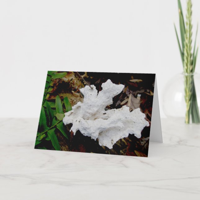 Tarjeta de nota de hongo Coral Shelf (Anverso)