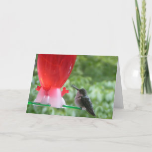 Tarjeta de nota de Hummingbird