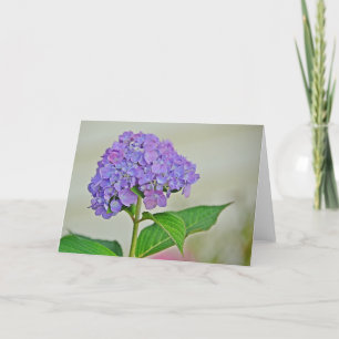 Tarjeta de nota de Hydrangea